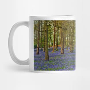 Bluebells Bluebell Woods Greys Court Oxfordshire UK Mug